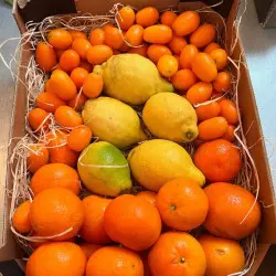 mix de citrinos biológicos de Espanha mix de citrinos biológicos de Espanha