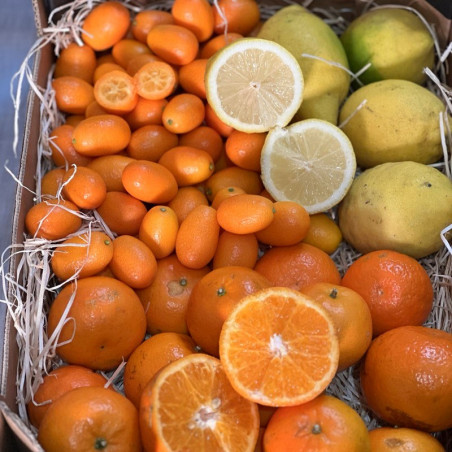 mélange bio direct producteur mandarine kumquat citrons