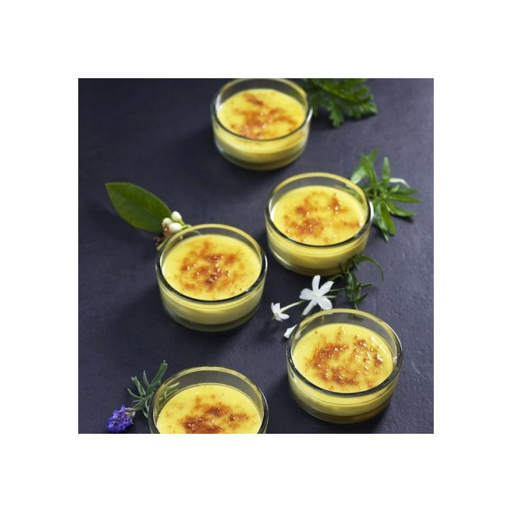 Raw Plant-Based Cuisine: Complete Guide by M.S.L.