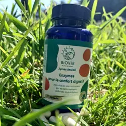 Enzymes pour la digestion - zymes assimil Biovie Enzymes pour la digestion - zymes assimil Biovie