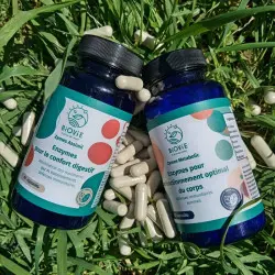 Gamme d'enzymes vegan Biovie Gamme d'enzymes vegan Biovie