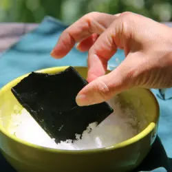 Quadrat aus gefrorener frischer Spirulina aus biologischem Anbau Quadrat aus gefrorener frischer Spirulina aus biologischem Anbau