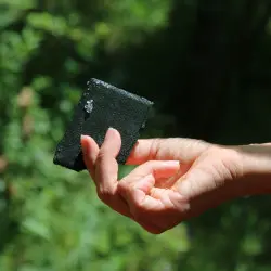 Bio-Spirulina Frankreich Ethik und Qualität Bio-Spirulina Frankreich Ethik und Qualität