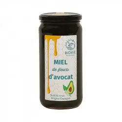 Miód z kwiatów awokado z Hiszpanii | Naturmel