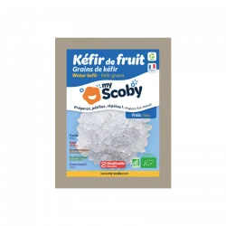 confezionamento di grani di kefir freschi confezionamento di grani di kefir freschi