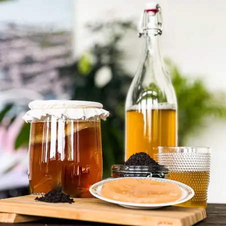 Volledig pakket Kombucha BIO