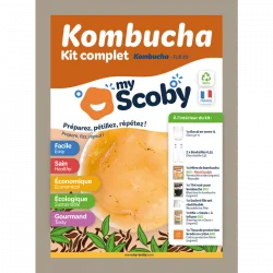 kit de kombucha casero orisae kit de kombucha casero orisae
