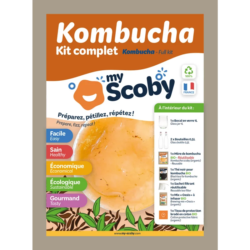 boite kit kombucha maison orisae