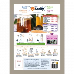 parte trasera del kit de kombucha casero orisae parte trasera del kit de kombucha casero orisae