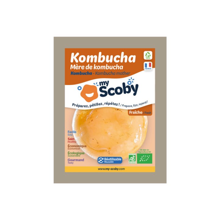 paquet my scoby mère de kombucha fraiche