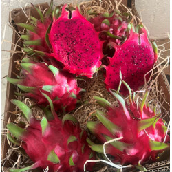 biologische pitaya
