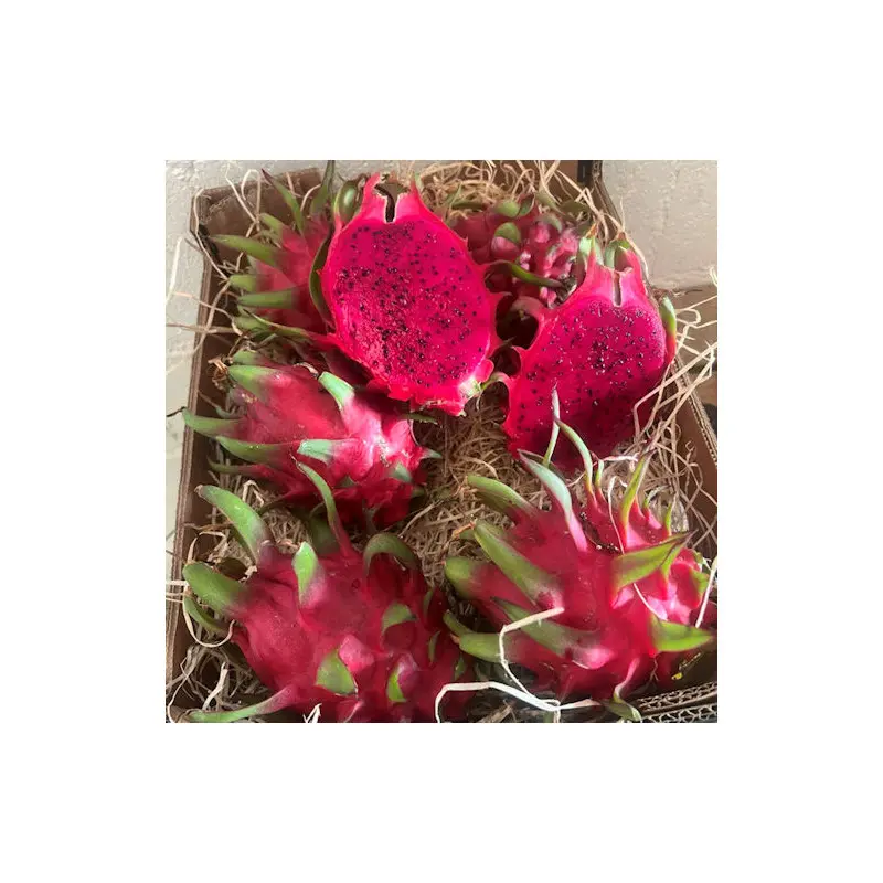 pitaya bio