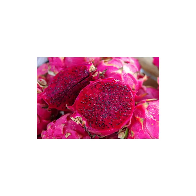 pitaya bio