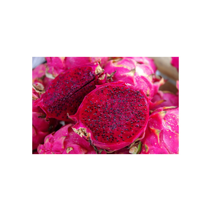 pitaya orgánica