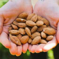 Aktivierte ganze Bio-Tuono-Mandeln (250 g/1 kg) | Biovie