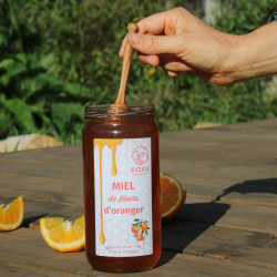 Miele d'arancio artigianale dalla Spagna - 1 kg eco-friendly