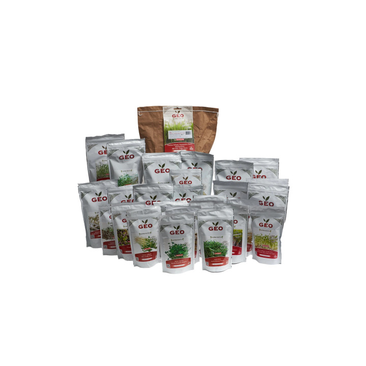 Pacchetto Esplorativo di Germogli da Germinare