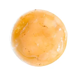 Madre de Kombucha Orgánica