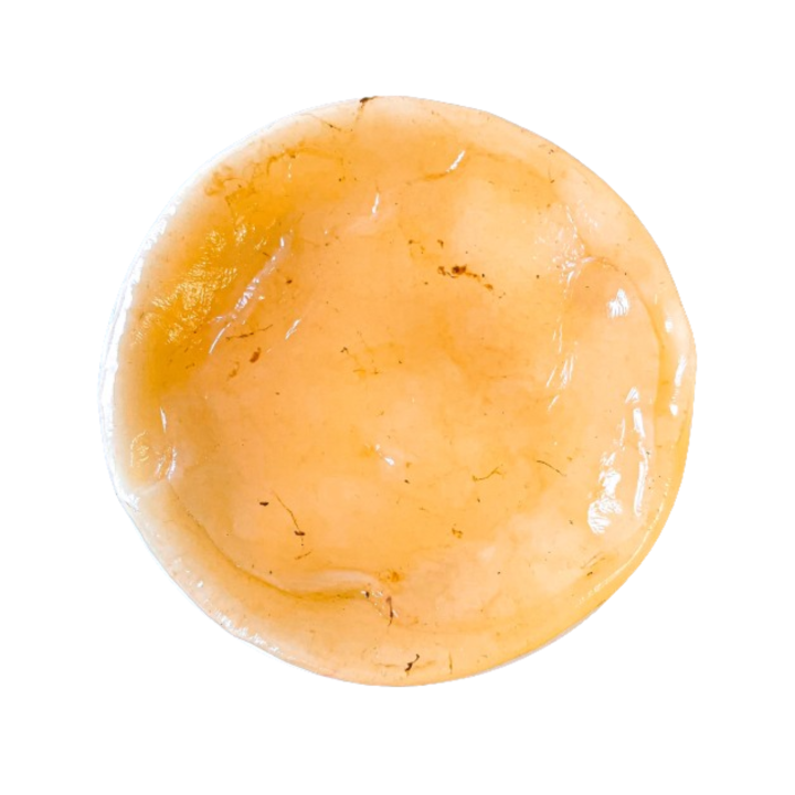 Mãe de kombucha orgânica (SCOBY) 50 g + starter — cultivada na França | Biovie