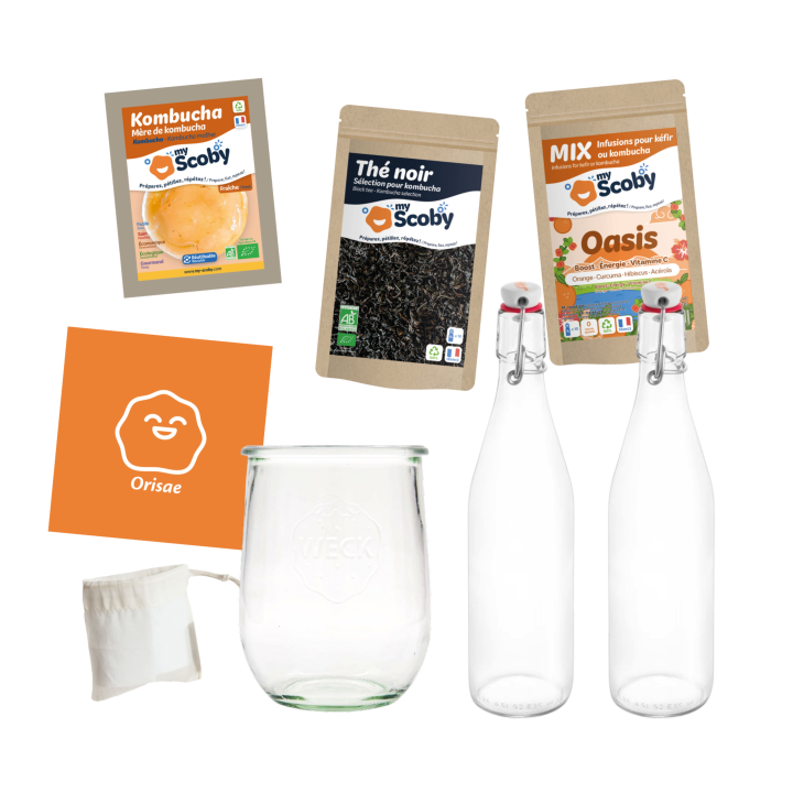 Pacchetto completo Kumbucha BIO