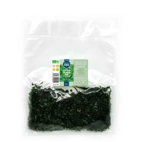 Alga Alface-do-Mar Origem Bretanha