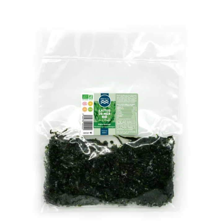 Sea Lettuce Algae Origin Brittany