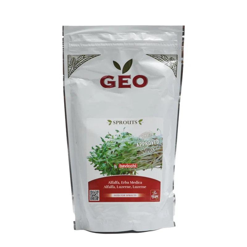 Alfalfa Seed / Organic Alfalfa (for sprouting)