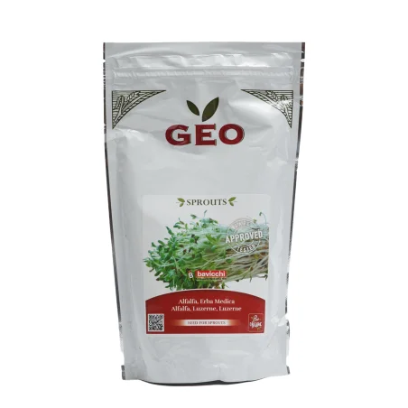 Alfalfa Seed / Organic Alfalfa (for sprouting)