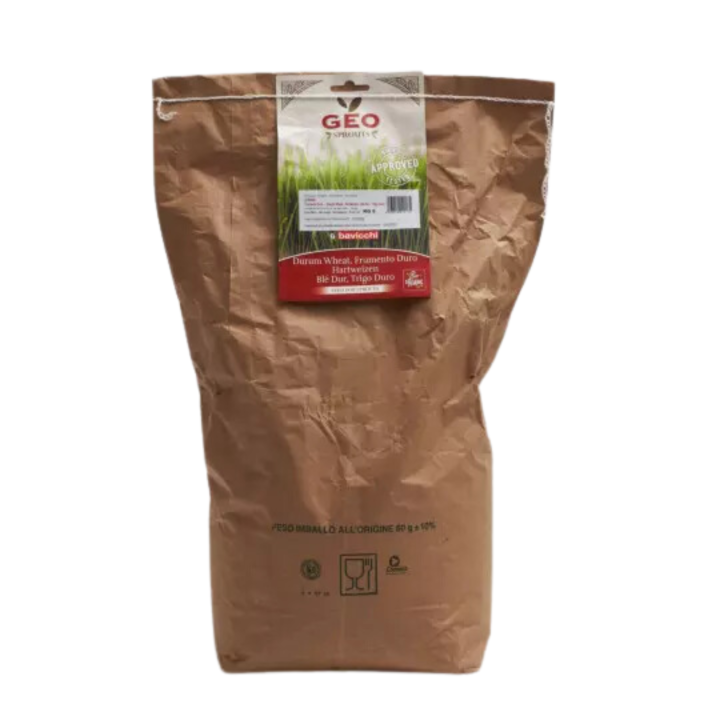 Sementes de trigo orgânico para grama de cereal a germinar sem amargor