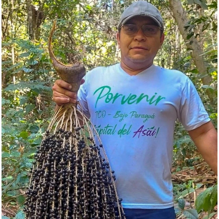 Açai récolte fait main