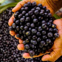 Açai Açai