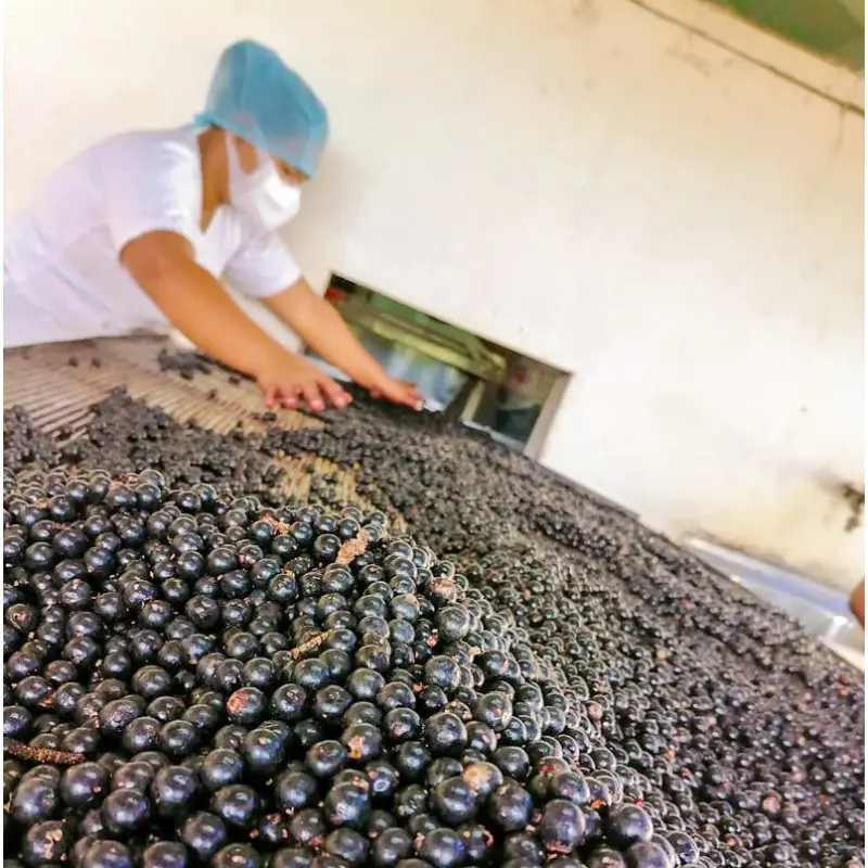 Açai tri des baies