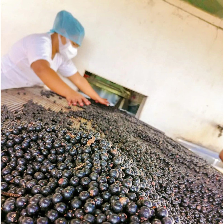 Polvo de Açaí liofilizado BIO y de comercio justo - 80g