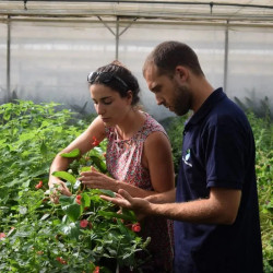 Formation hydroponie chez soi en ligne – Les Sourciers | Biovie