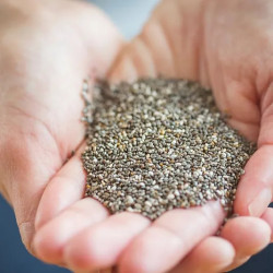 Bio- und faire Chiasamen 400 g – Omega-3 | Biovie