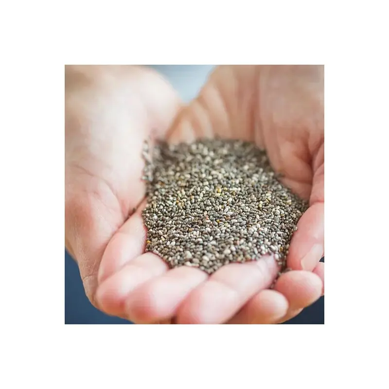Graines de chia