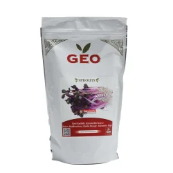 Organic red radish seeds to germinate | Bavicchi Organic red radish seeds to germinate | Bavicchi