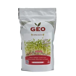 graine chou rouge bio geo graine à germer graine chou rouge bio geo graine à germer