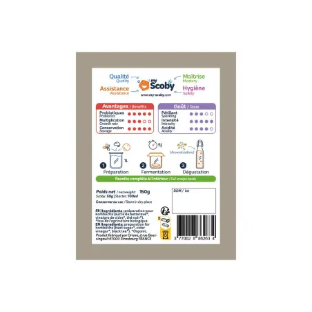 Mutter von Bio-Kombucha Mutter von Bio-Kombucha