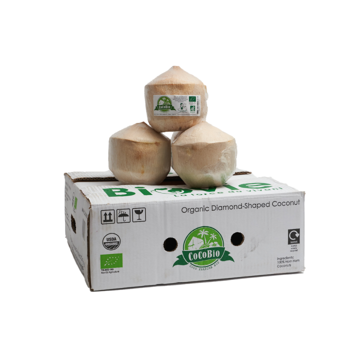 Noce di Cocco Fresca Bio | Cartone di 9 noci di cocco