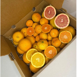 Biologische citrusmix uit Spanje (5 kg)