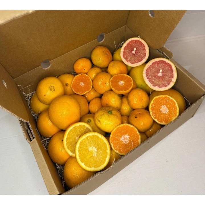 Organic Spanish Citrus Mix (5 kg)