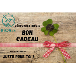 Carte cadeau 100€