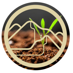 ZenCleanz ONE - Darmreinigungsset (1 Tag) | Biovie