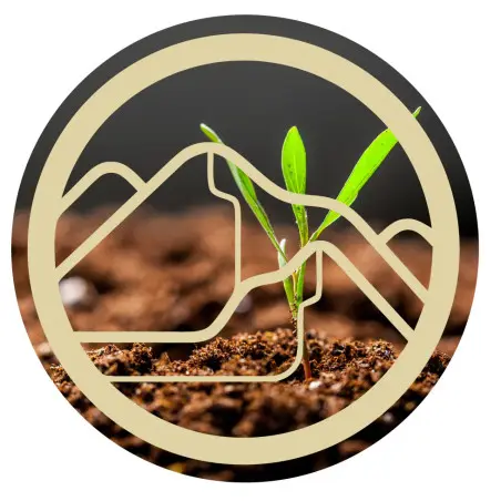 Enzimas líquidas LIGHTSEED - ZenCleanz Enzimas líquidas LIGHTSEED - ZenCleanz