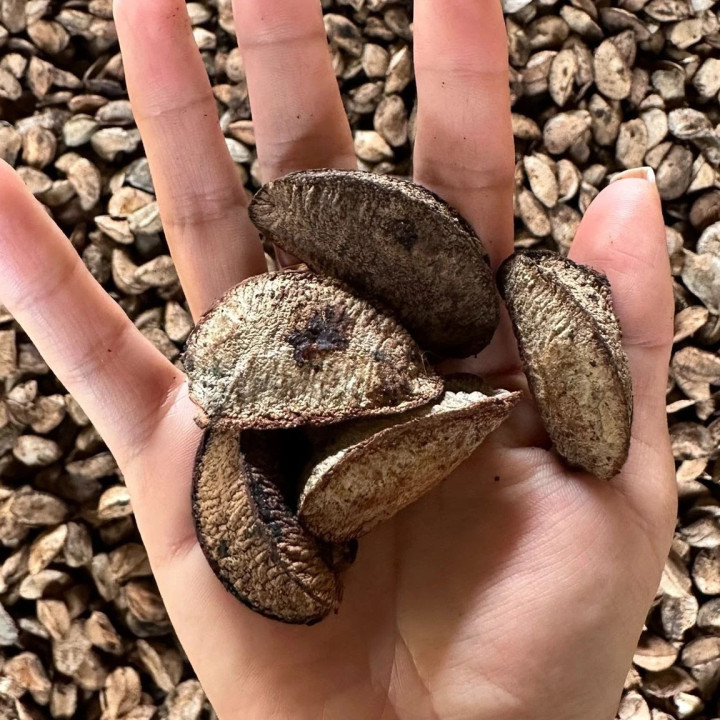 Organic Brazil Nuts - 1 Kg