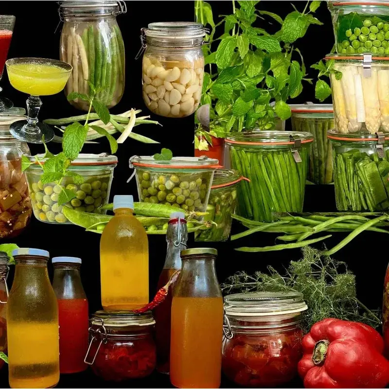 Lactofermentation cours