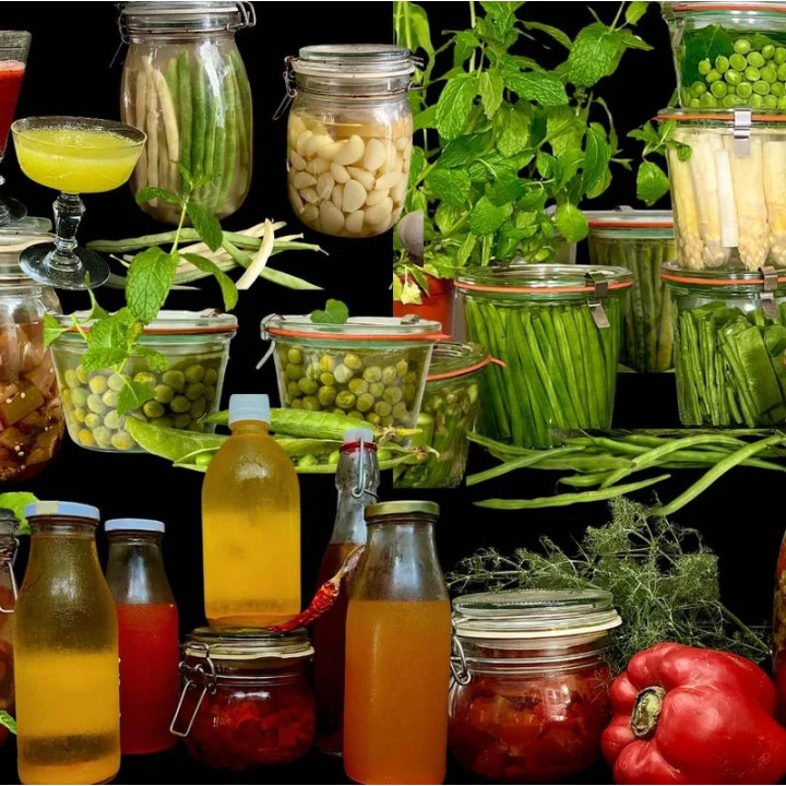 Die Kunst der Lactofermentation - Marie Sophie L