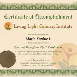 Vegan and Raw Pastry - Marie Sophie L Vegan and Raw Pastry - Marie Sophie L