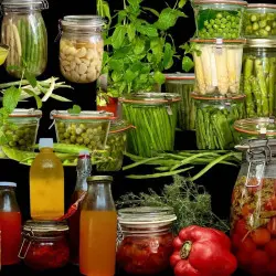 lactofermentation
